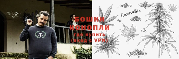 мдпв Горнозаводск