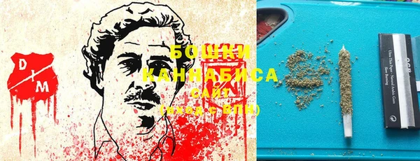 мдпв Горнозаводск