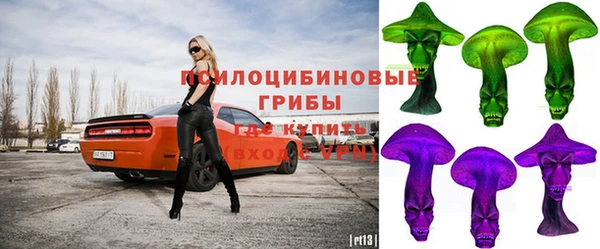 мдпв Горнозаводск