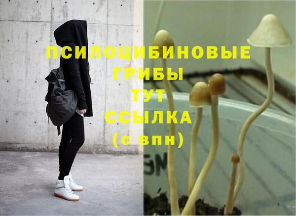 соль курить ск Горно-Алтайск